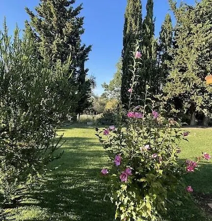 Limone * Ostuni
