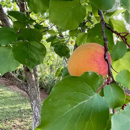 Limone Ostuni
