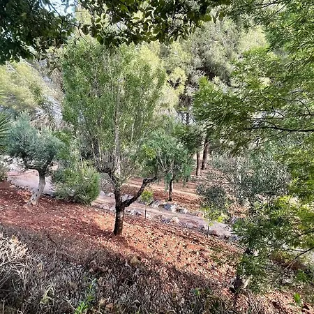 Limone Villa Ostuni